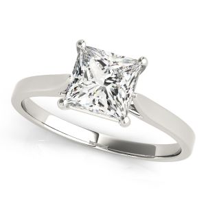 Cathedral Solitaire Princess Cut Engagement Ring